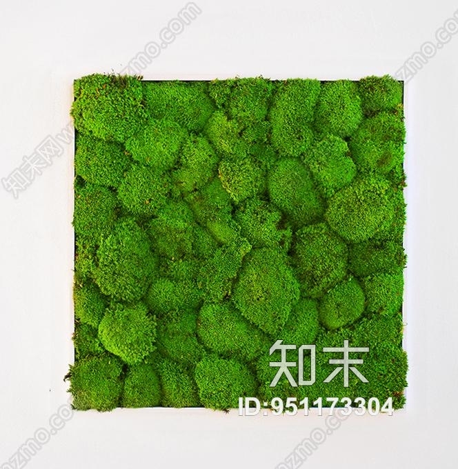 植物墙贴图下载【ID:951173304】