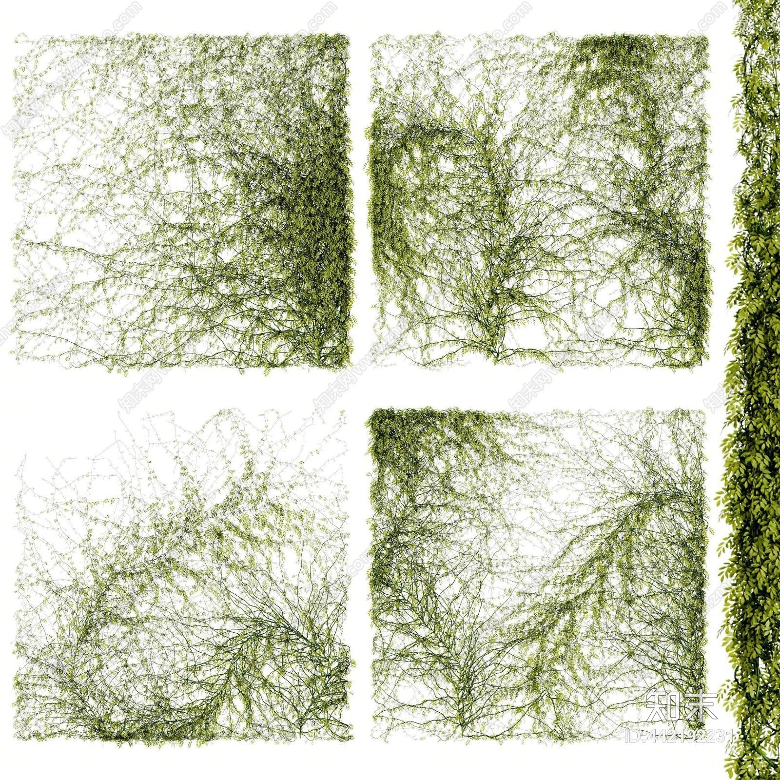 现代藤蔓3D模型下载【ID:442192231】