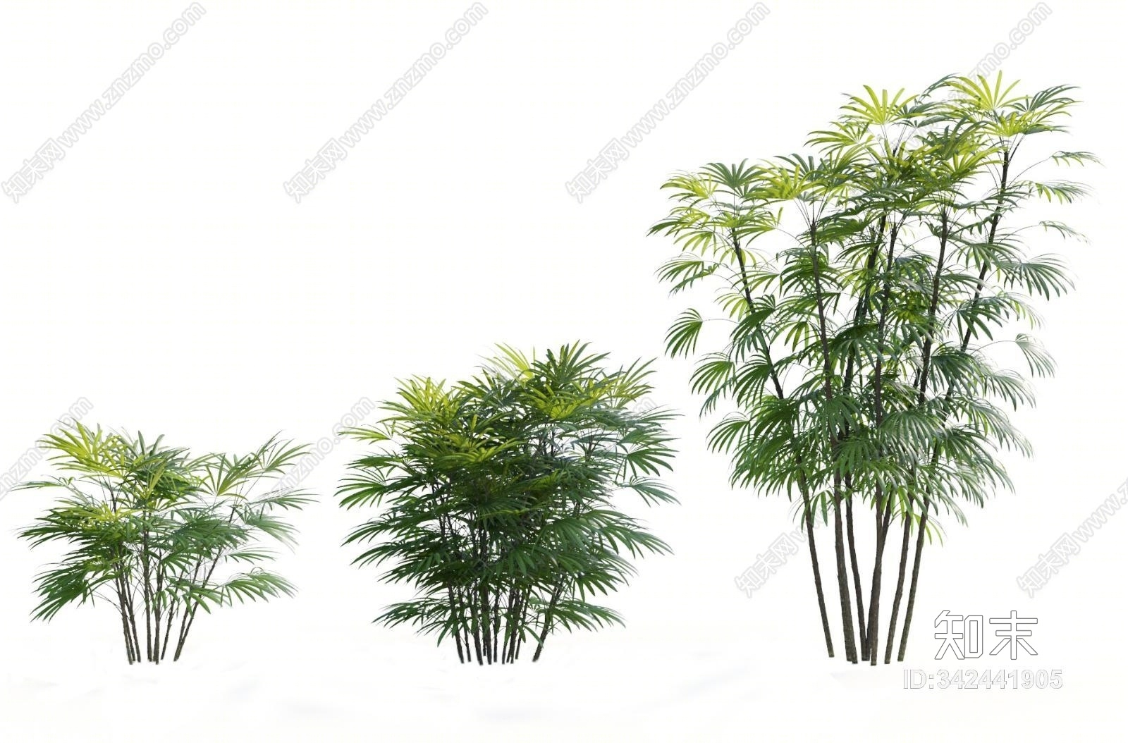现代热带植物3D模型下载【ID:342441905】
