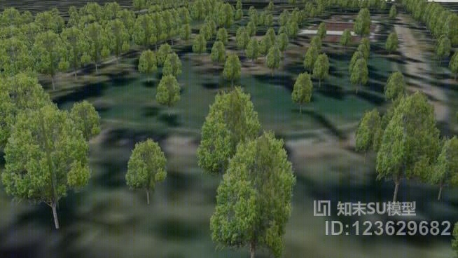 自由公园树SU模型下载【ID:123629682】