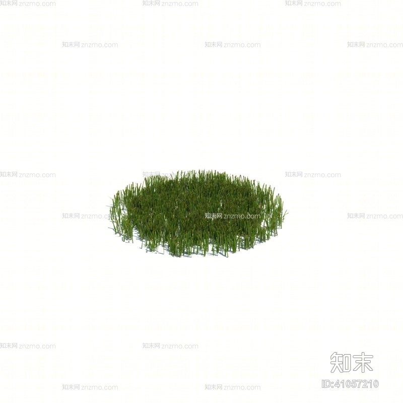 绿色草3D模型下载【ID:41057210】