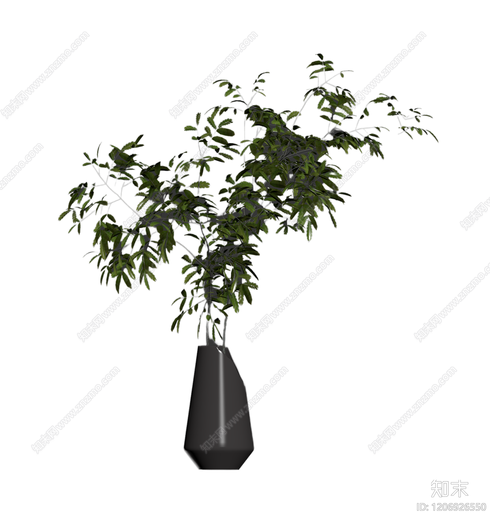 盆栽植物装饰3D模型下载【ID:1206926550】