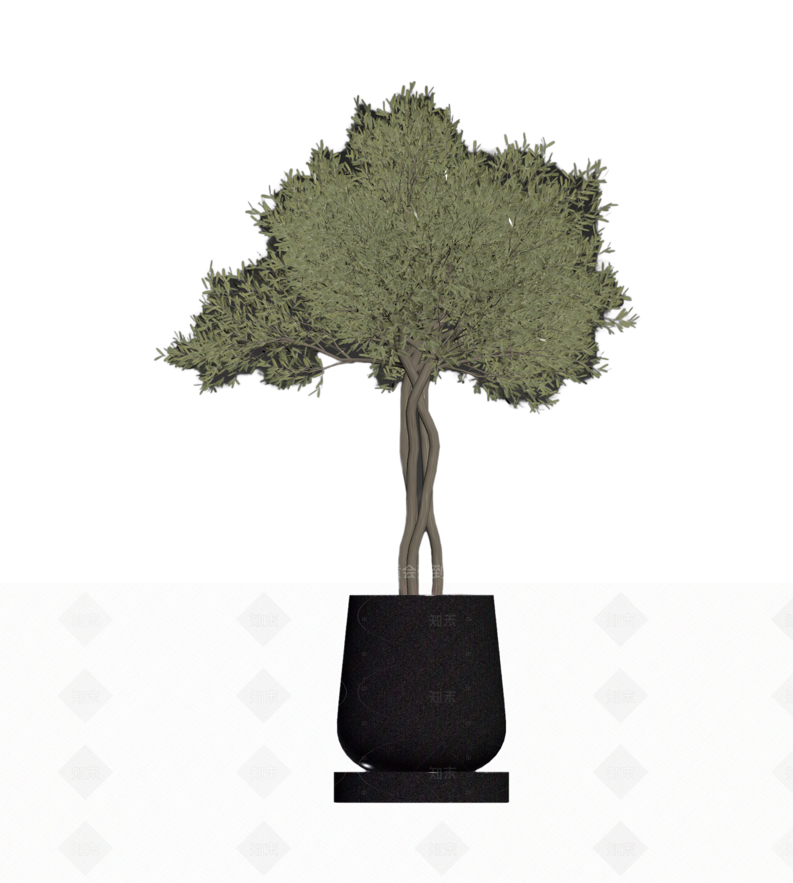 带盆完整盆栽3D模型下载【ID:1206191173】