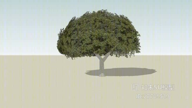树SU模型下载【ID:27789519】