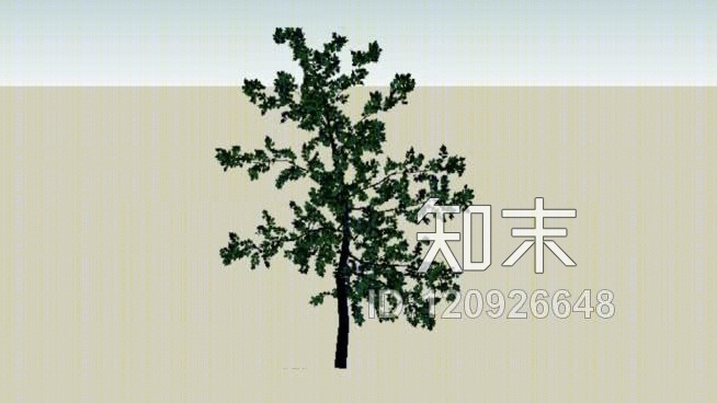 2D苹果树SU模型下载【ID:120926648】