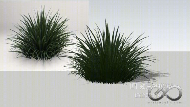 草SU模型下载【ID:218141173】