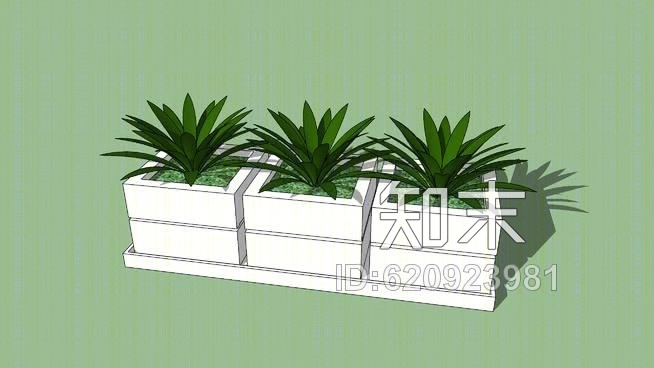植物，植物，玻璃花瓶SU模型下载【ID:620923981】