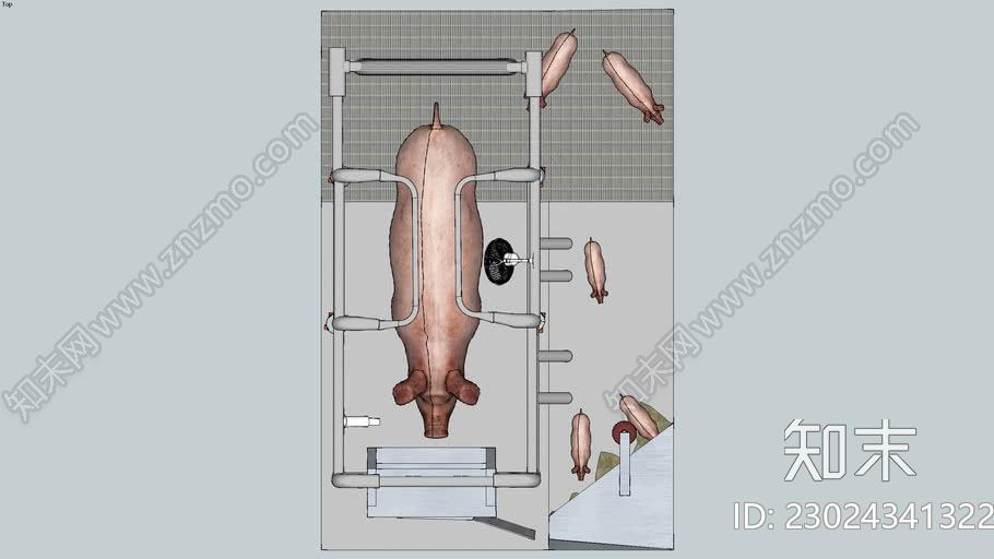 母猪摊位SU模型下载【ID:1162352507】
