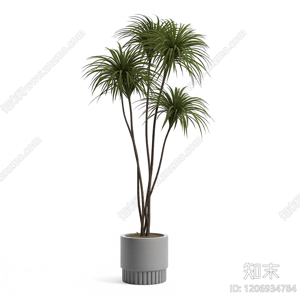 盆栽植物模型3D模型下载【ID:1206934784】