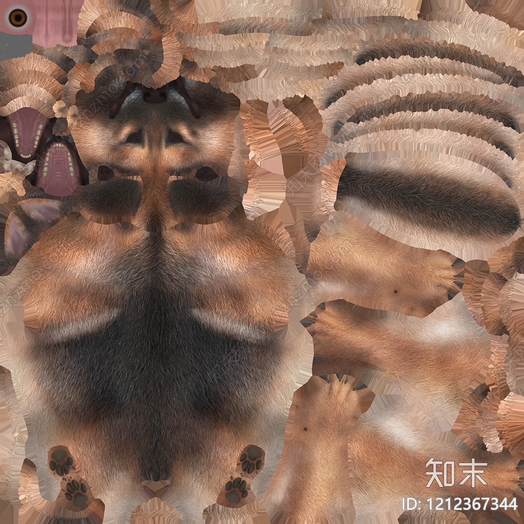 动物皮毛贴图下载【ID:1212367344】