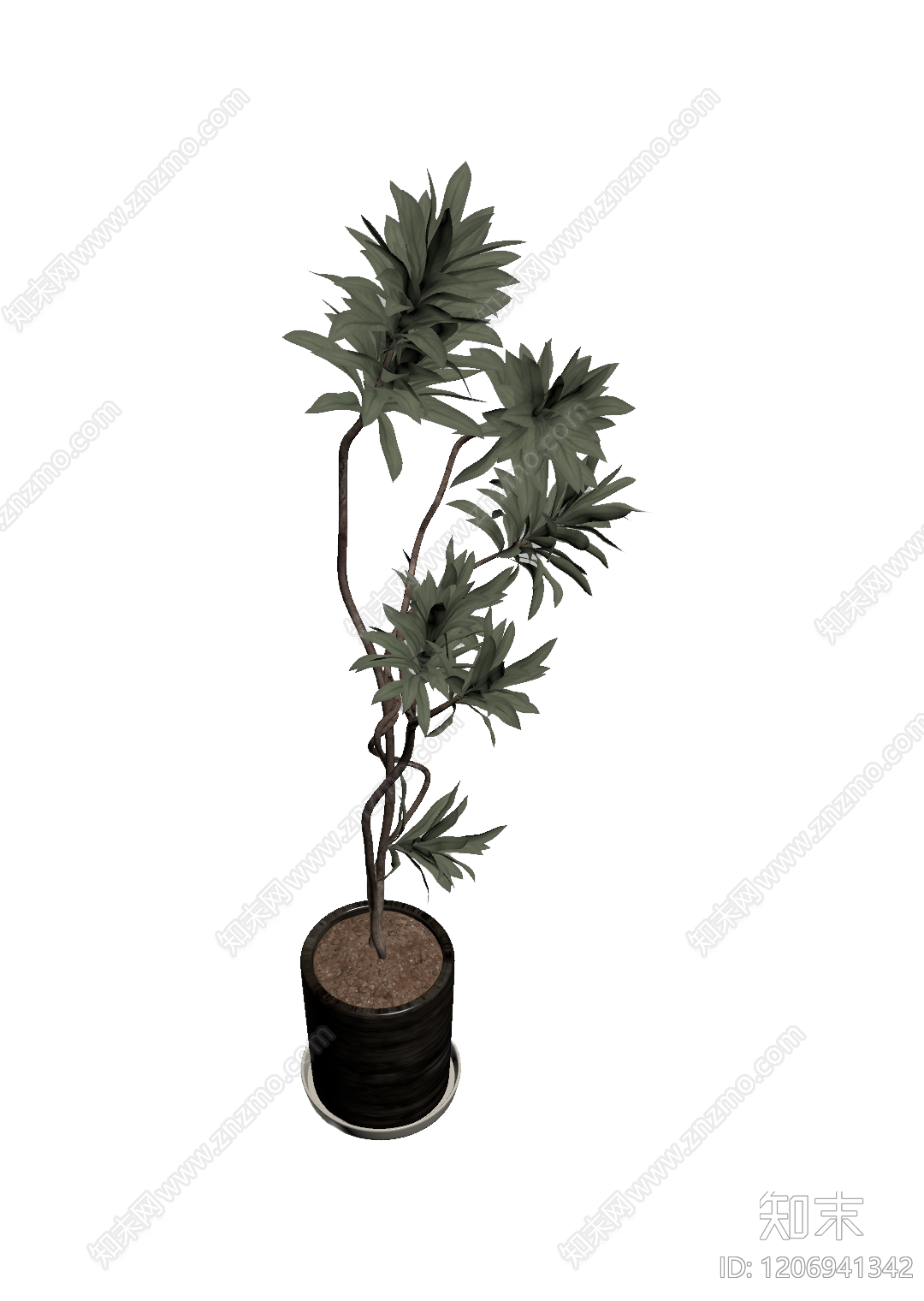 盆栽植物装饰3D模型下载【ID:1206941342】