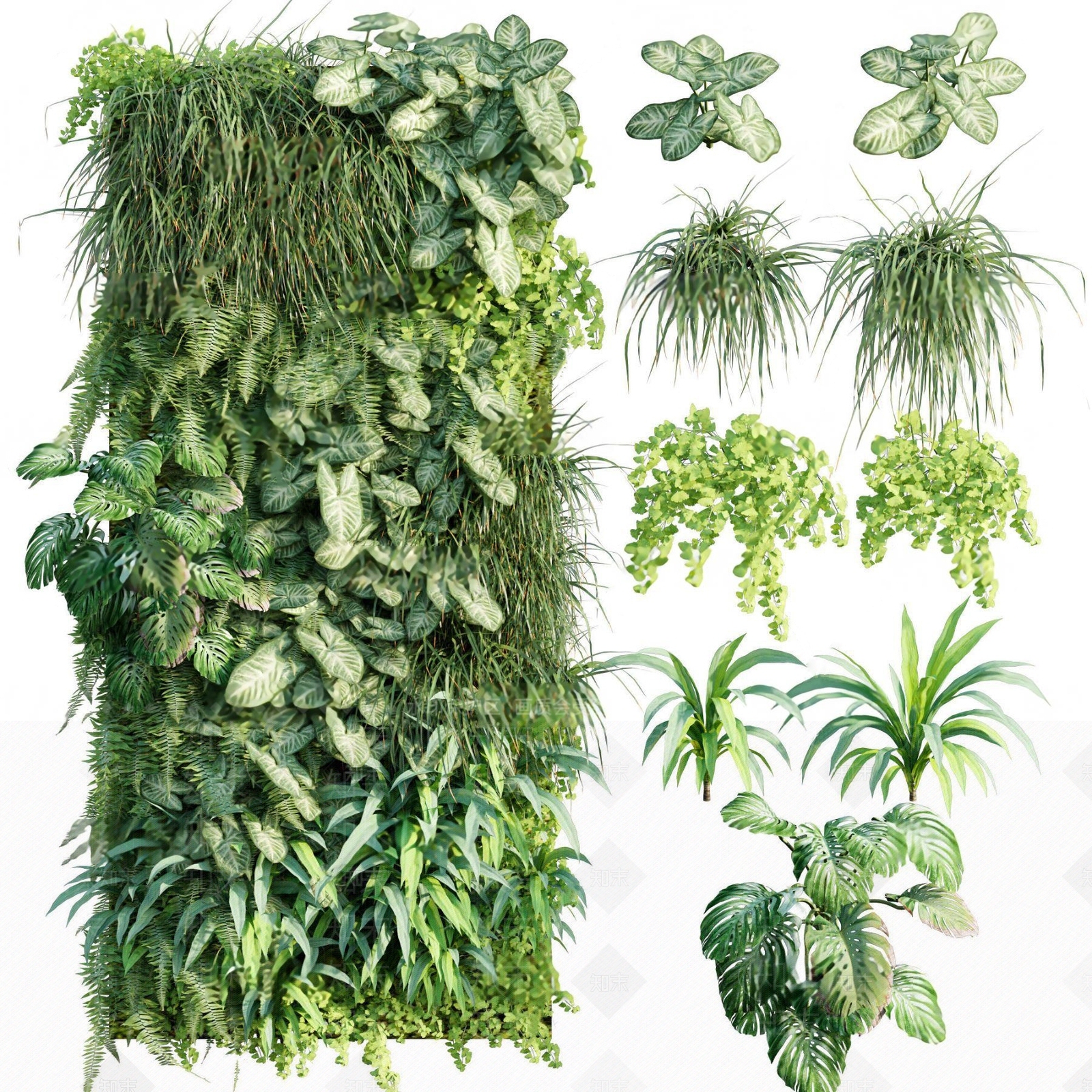 现代绿植植物墙3D模型下载【ID:881195060】