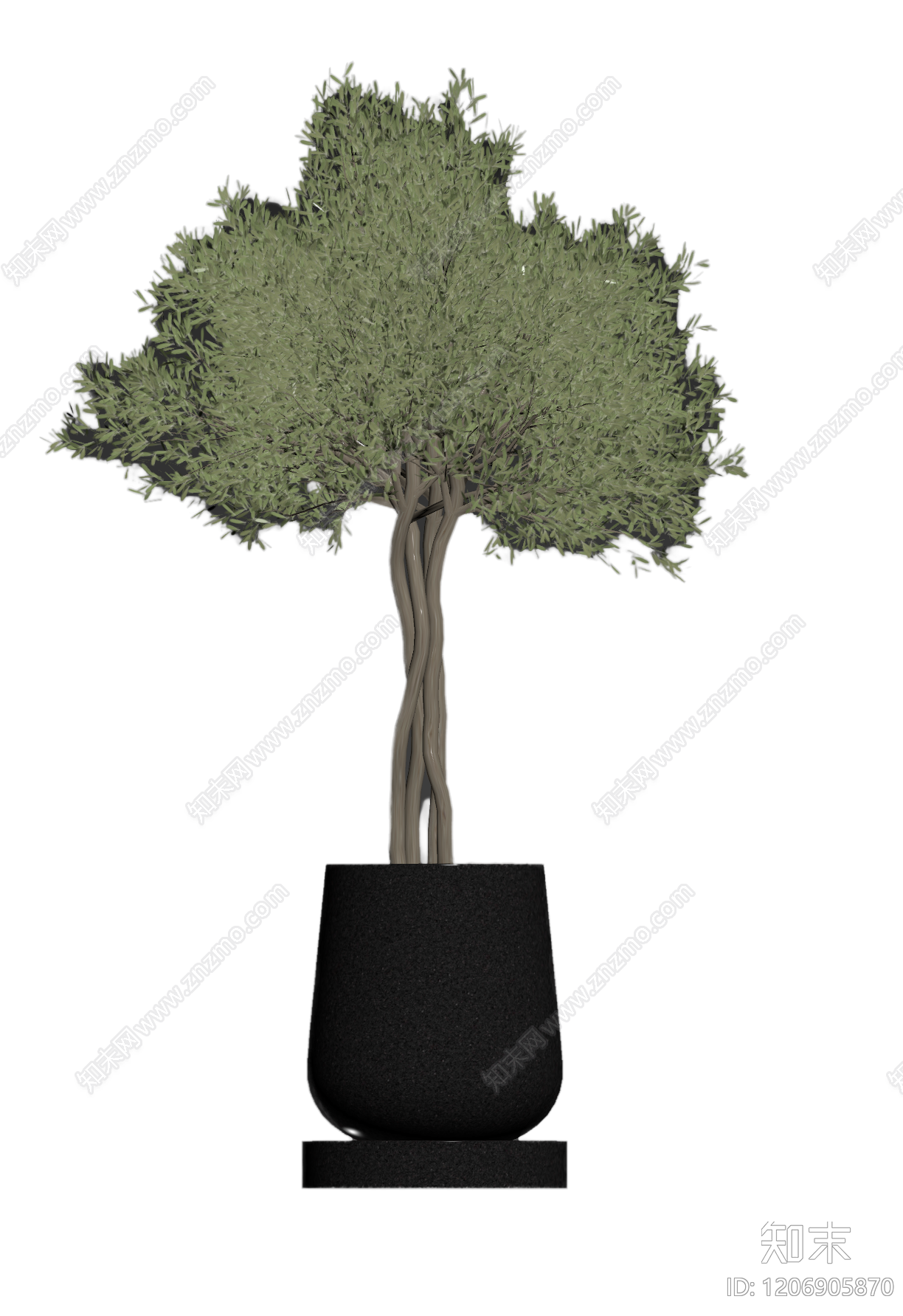盆栽植物装饰3D模型下载【ID:1206905870】