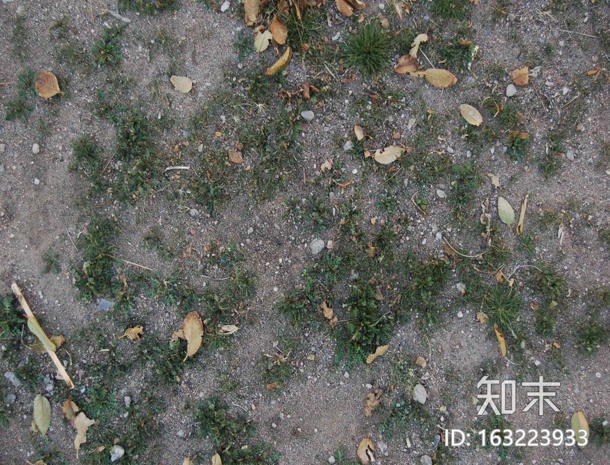 地面-草皮-0031.jpg贴图下载【ID:163223933】