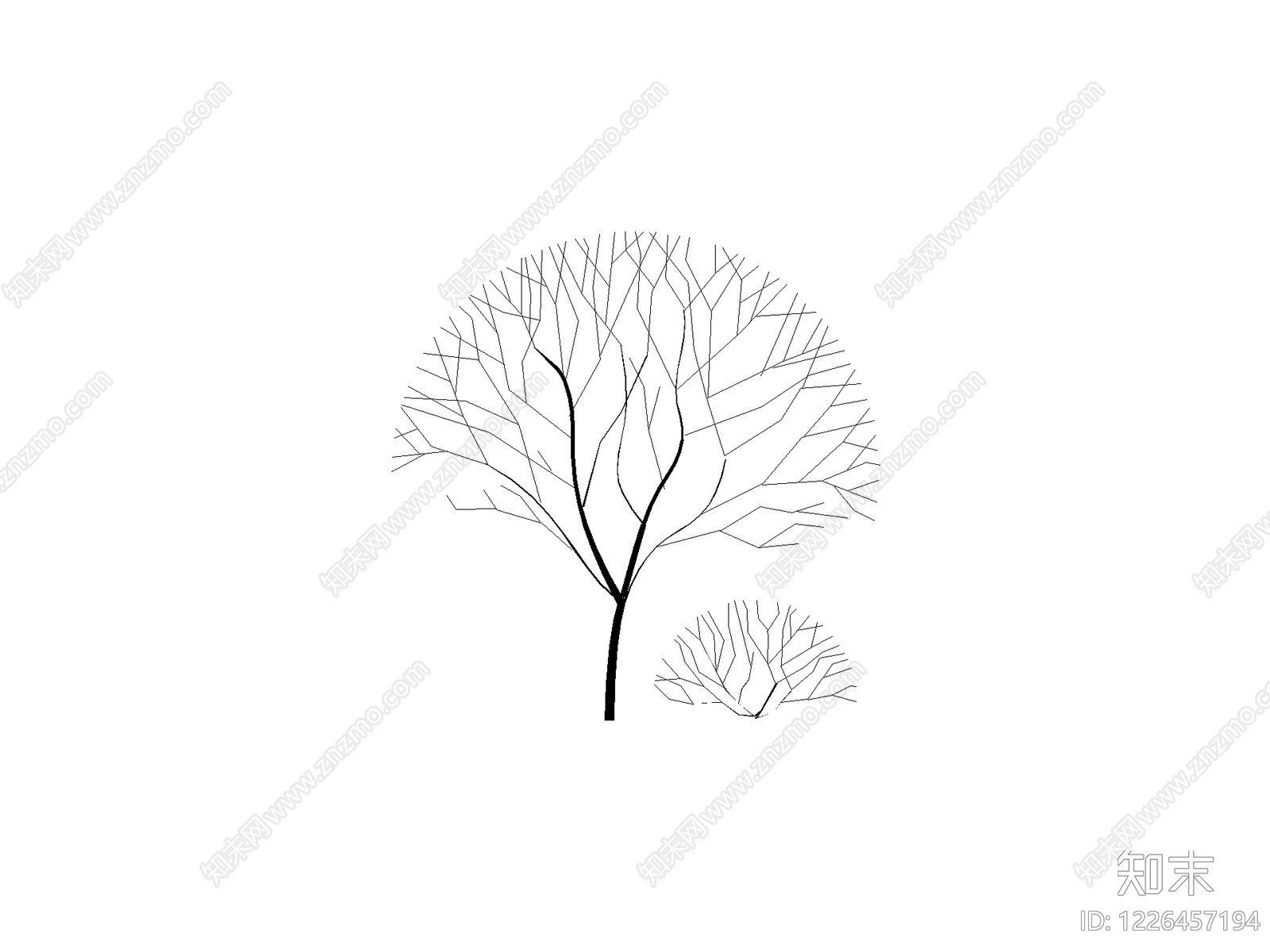 乔木种植CAD图纸