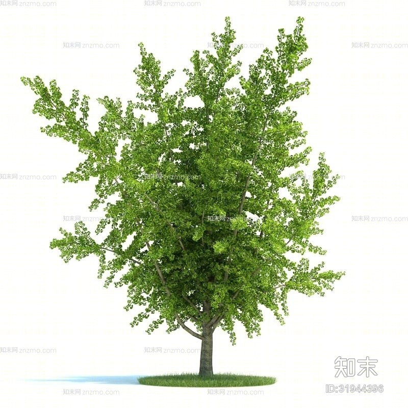 绿色景观树3D模型下载【ID:31944396】