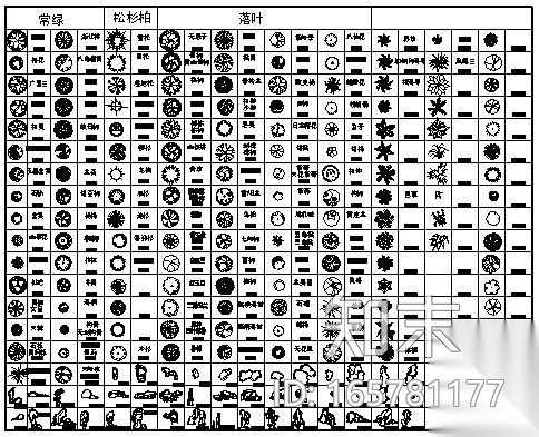 植物、景石图块cad施工图下载【ID:165781177】