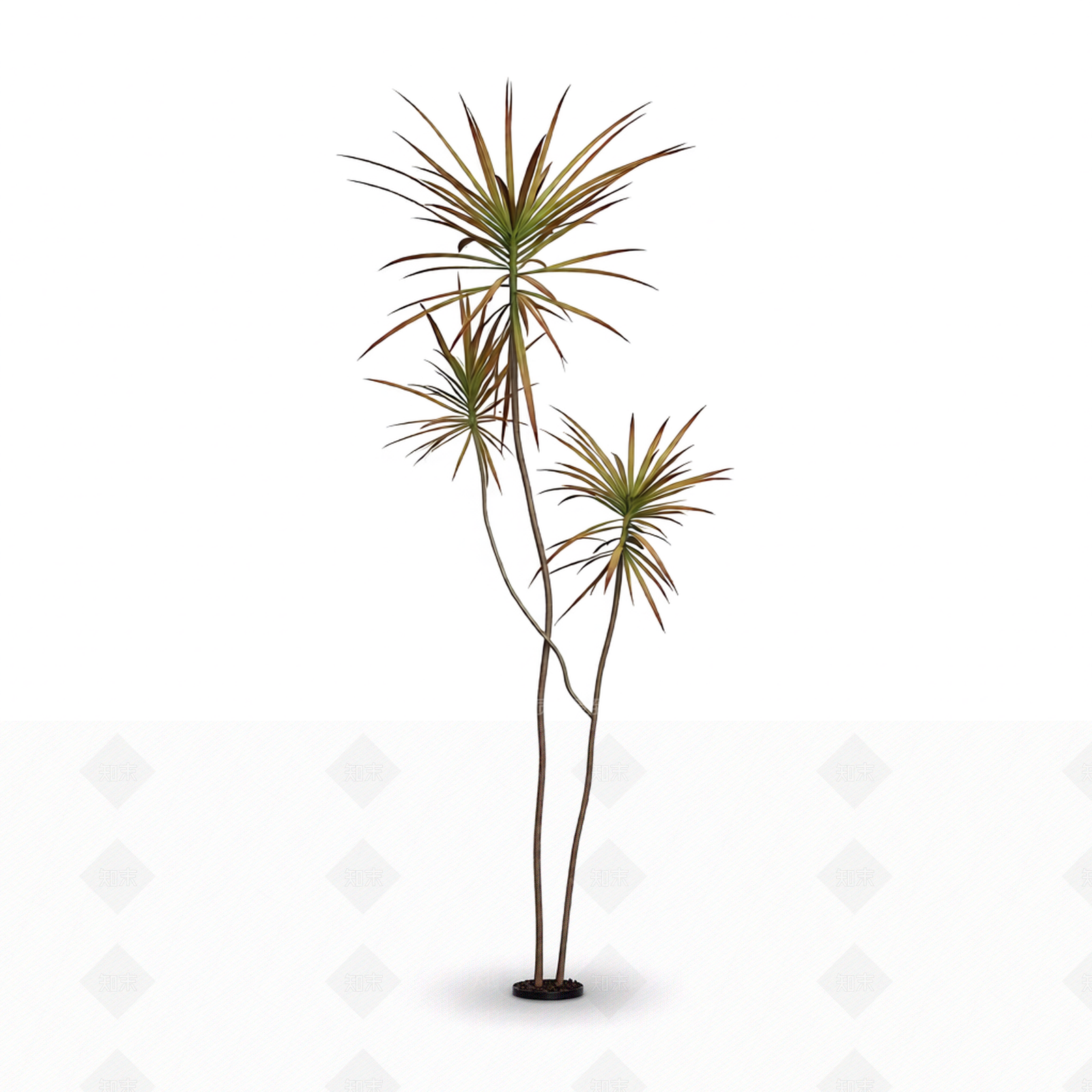 多枝干植物模型3D模型下载【ID:1206190029】