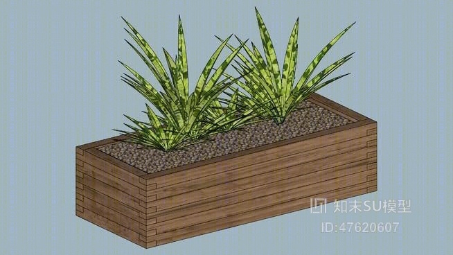 盆栽SU模型下载【ID:47620607】