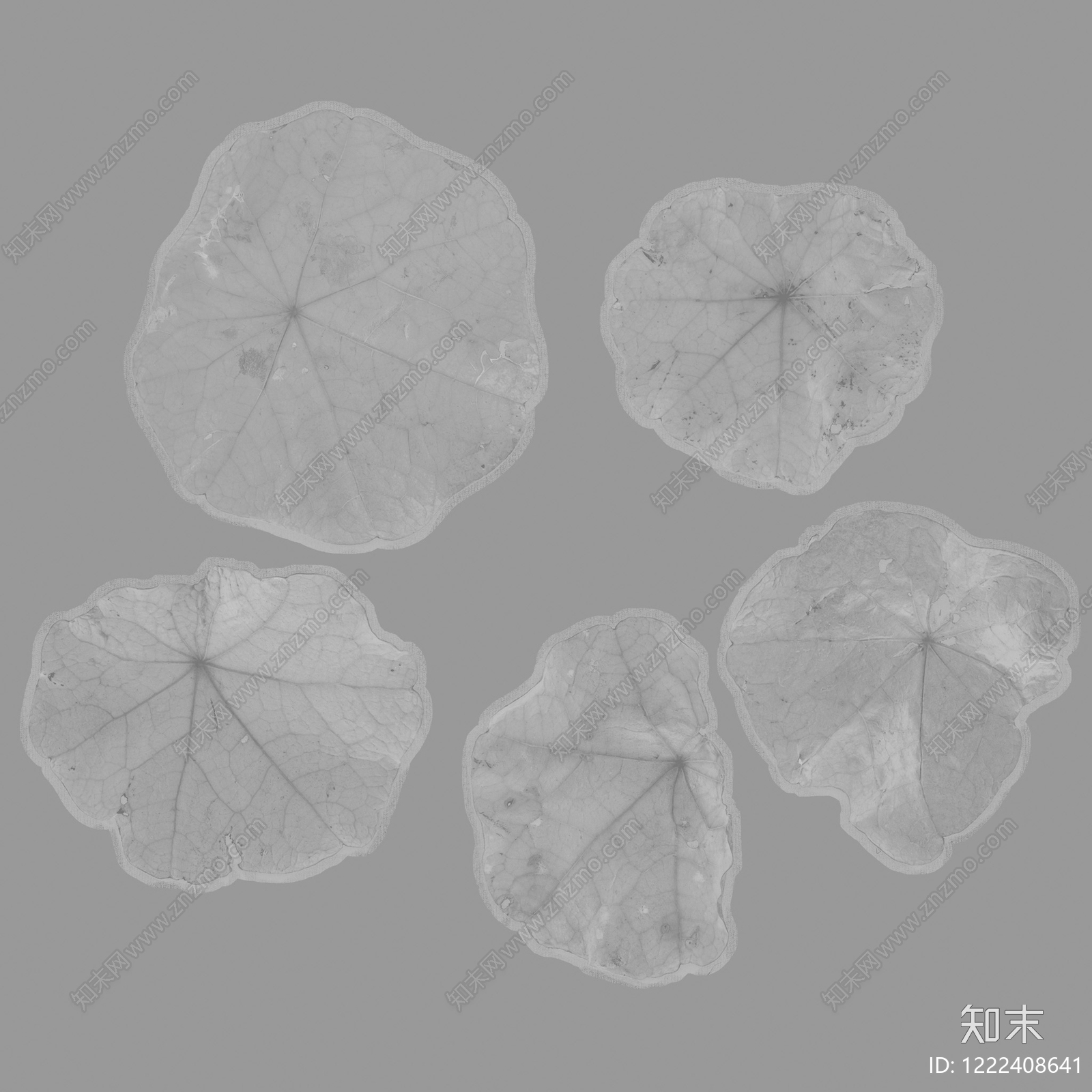 植物壁纸高清贴图材质