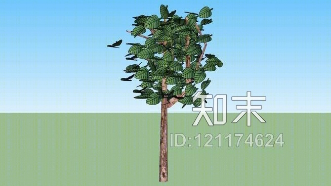 简单的小树/简单的小型树SU模型下载【ID:121174624】
