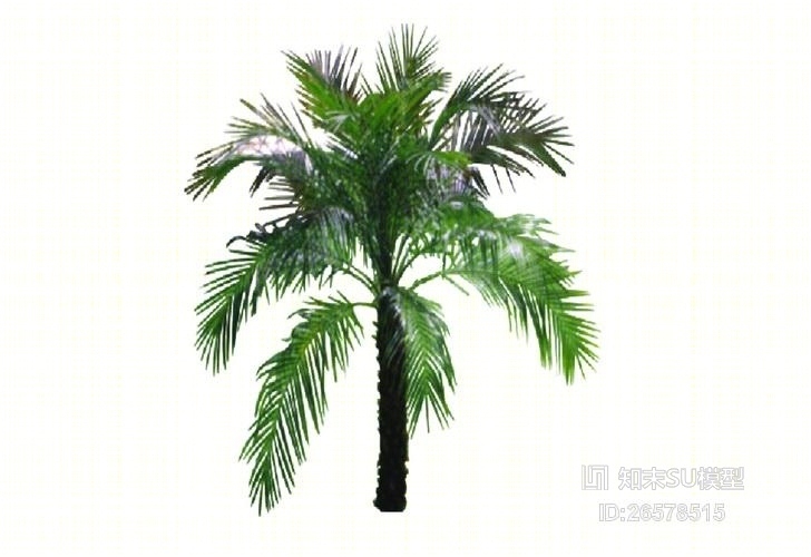 2D棕榈树SU模型下载【ID:26578515】