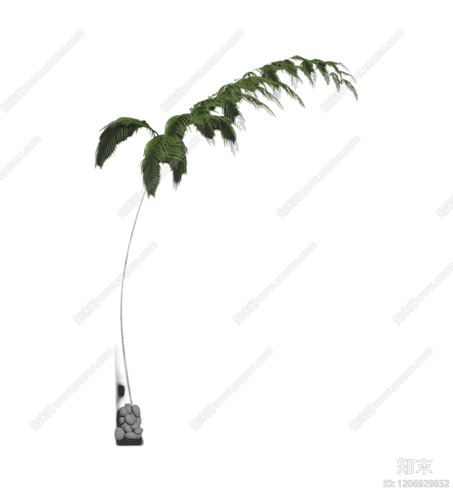 盆栽蕨类植物3D模型下载【ID:1206929652】