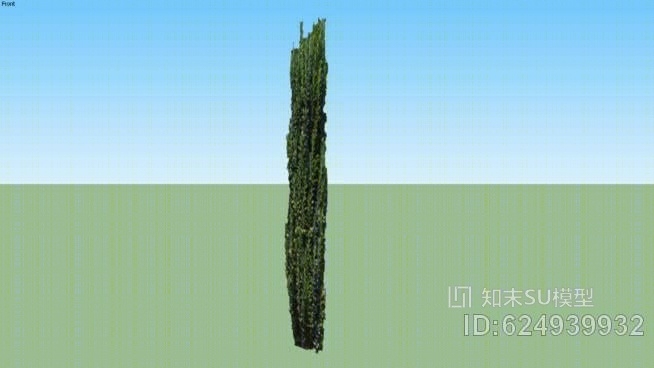 铅笔冬青SU模型下载【ID:624939932】
