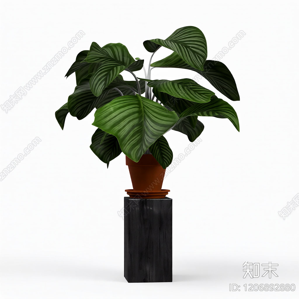 盆栽植物带底座3D模型下载【ID:1206892880】