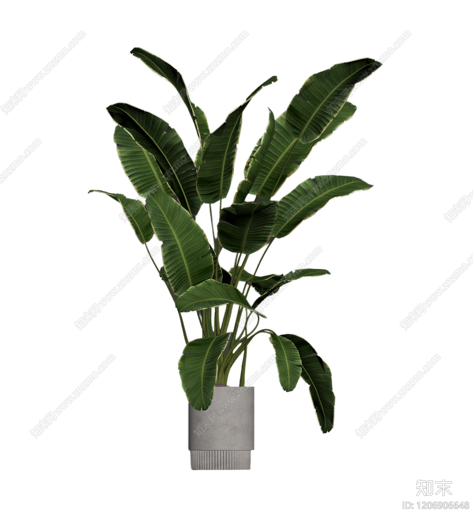 盆栽植物装饰3D模型下载【ID:1206906648】