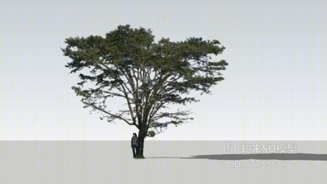 树SU模型下载【ID:47759607】