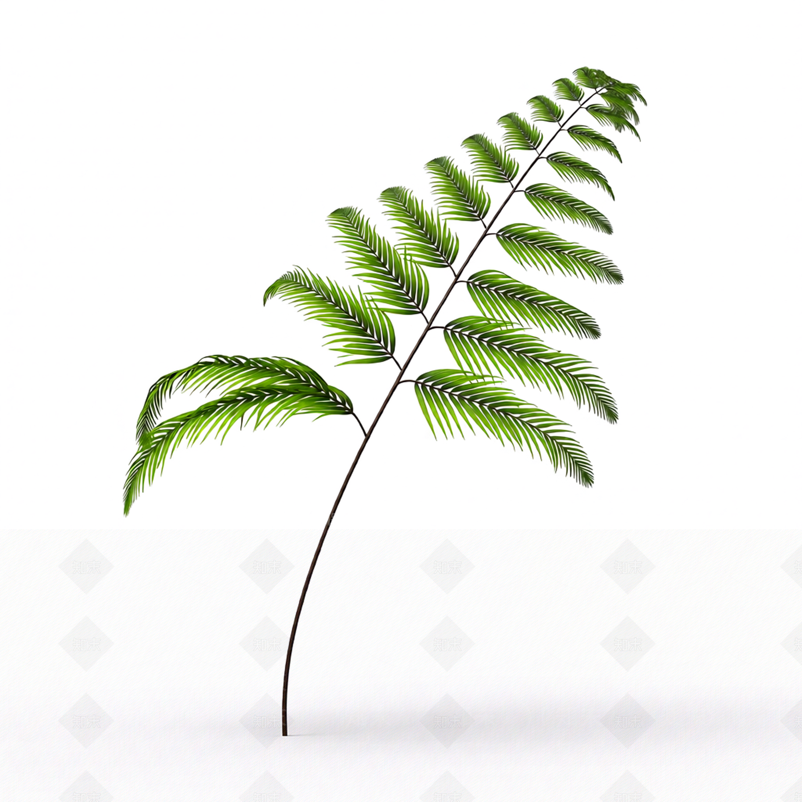 绿色枝叶植物模型3D模型下载【ID:1206186406】