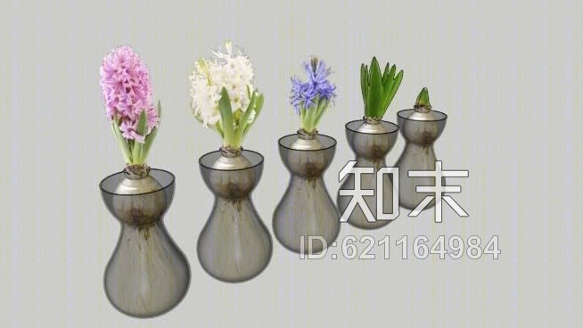 花瓶花SU模型下载【ID:621164984】