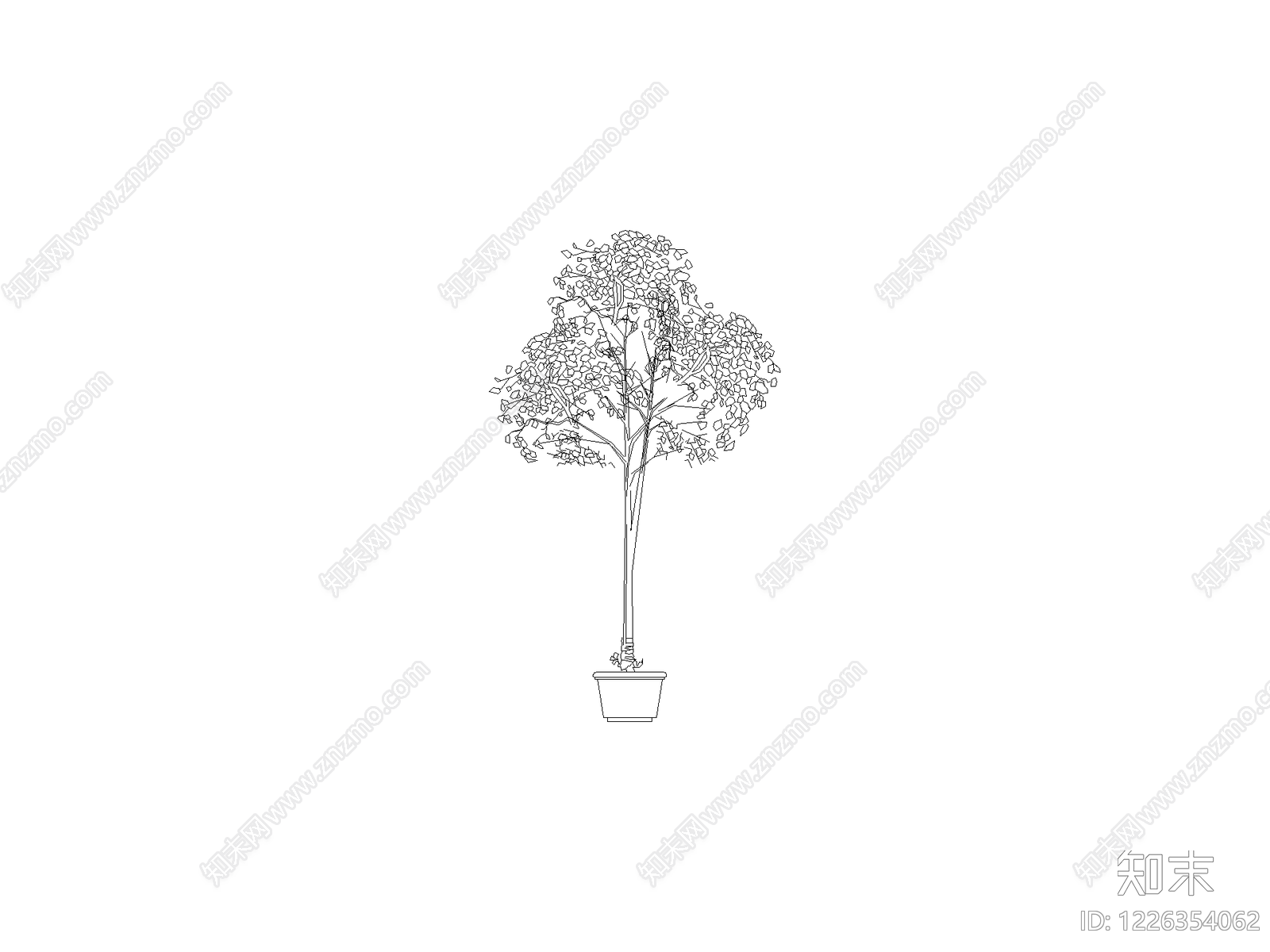 现代乔木种植CAD图纸