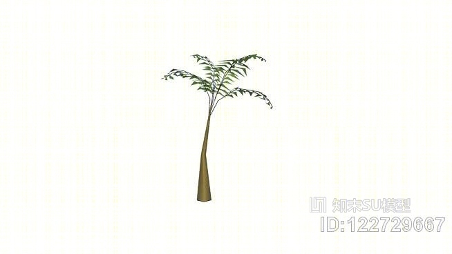 热带棕榈树12英尺SU模型下载【ID:122729667】
