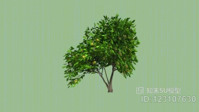 果树SU模型下载【ID:123107630】