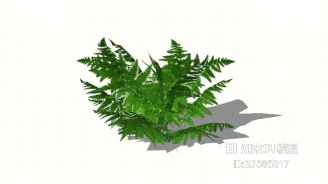 草SU模型下载【ID:219290171】