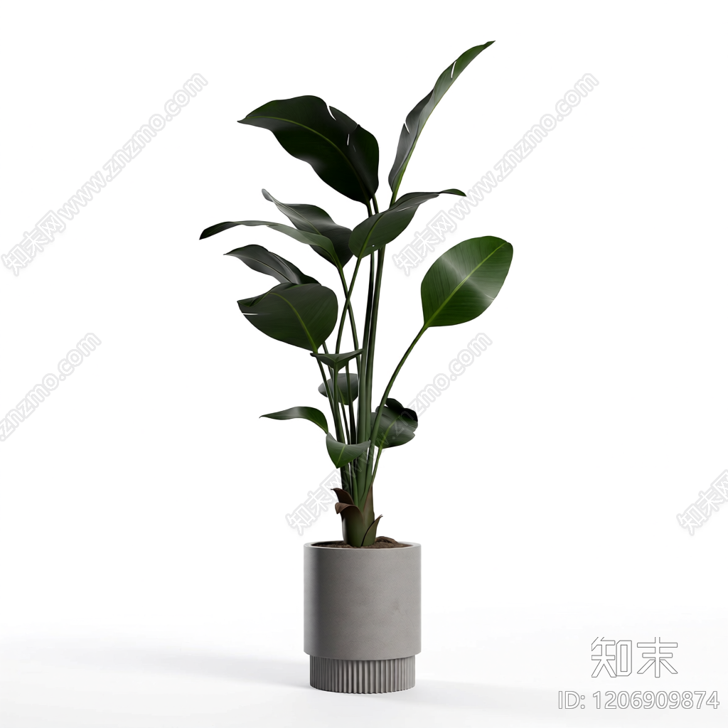 盆栽植物装饰3D模型下载【ID:1206909874】