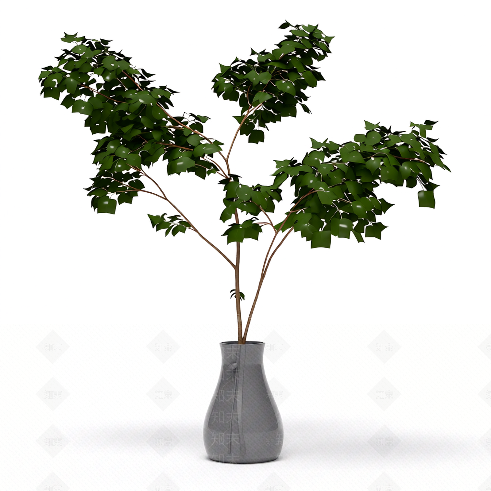 带盆绿植盆栽3D模型下载【ID:1206197310】
