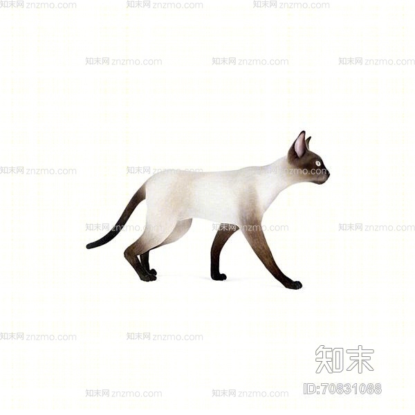 白色猫3D模型下载【ID:70831088】