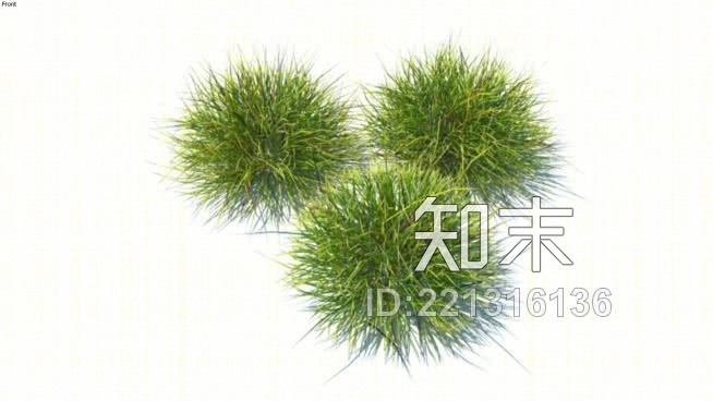 草，高聚合，VRY准备（122）SU模型下载【ID:221316136】