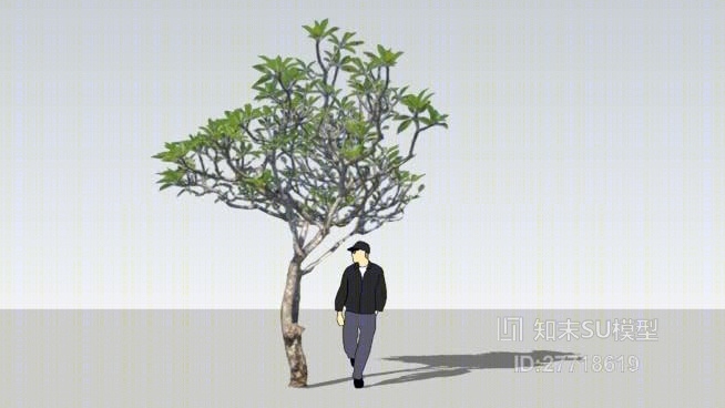 树SU模型下载【ID:27718619】