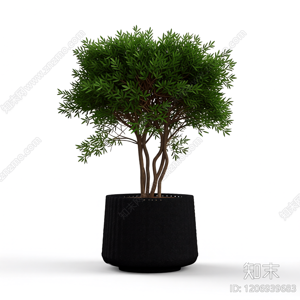 盆栽植物装饰3D模型下载【ID:1206939683】