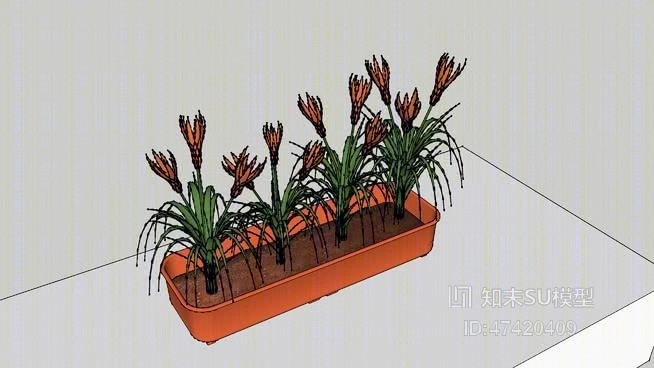 盆栽SU模型下载【ID:117962842】