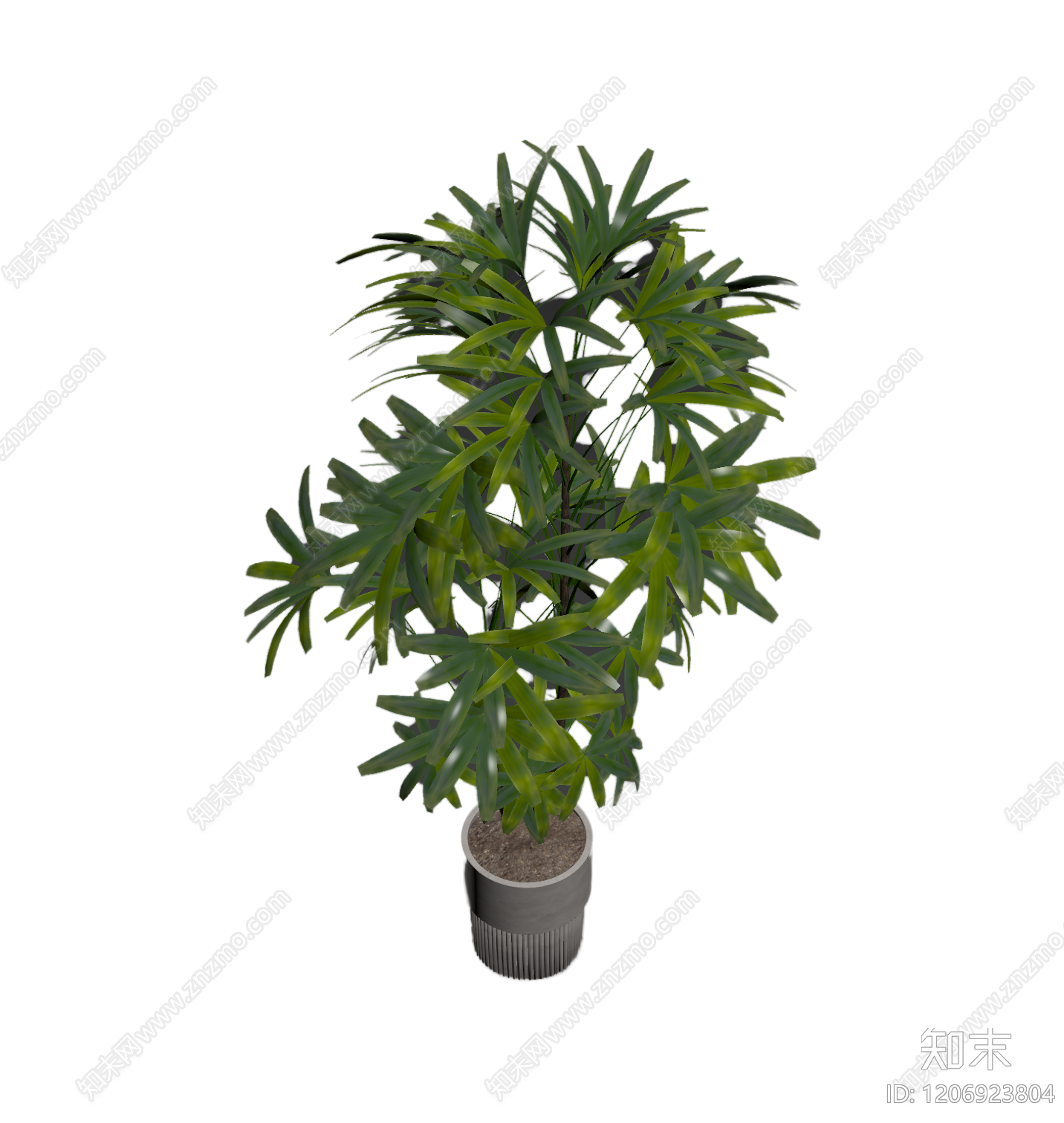 盆栽植物装饰3D模型下载【ID:1206923804】
