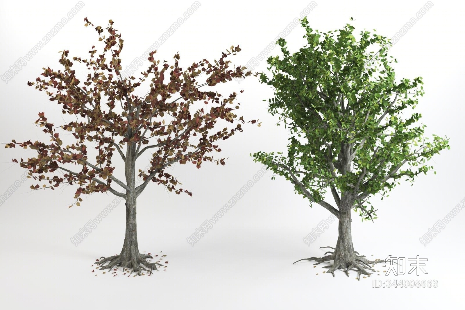 现代樱桃树3D模型下载【ID:344008663】