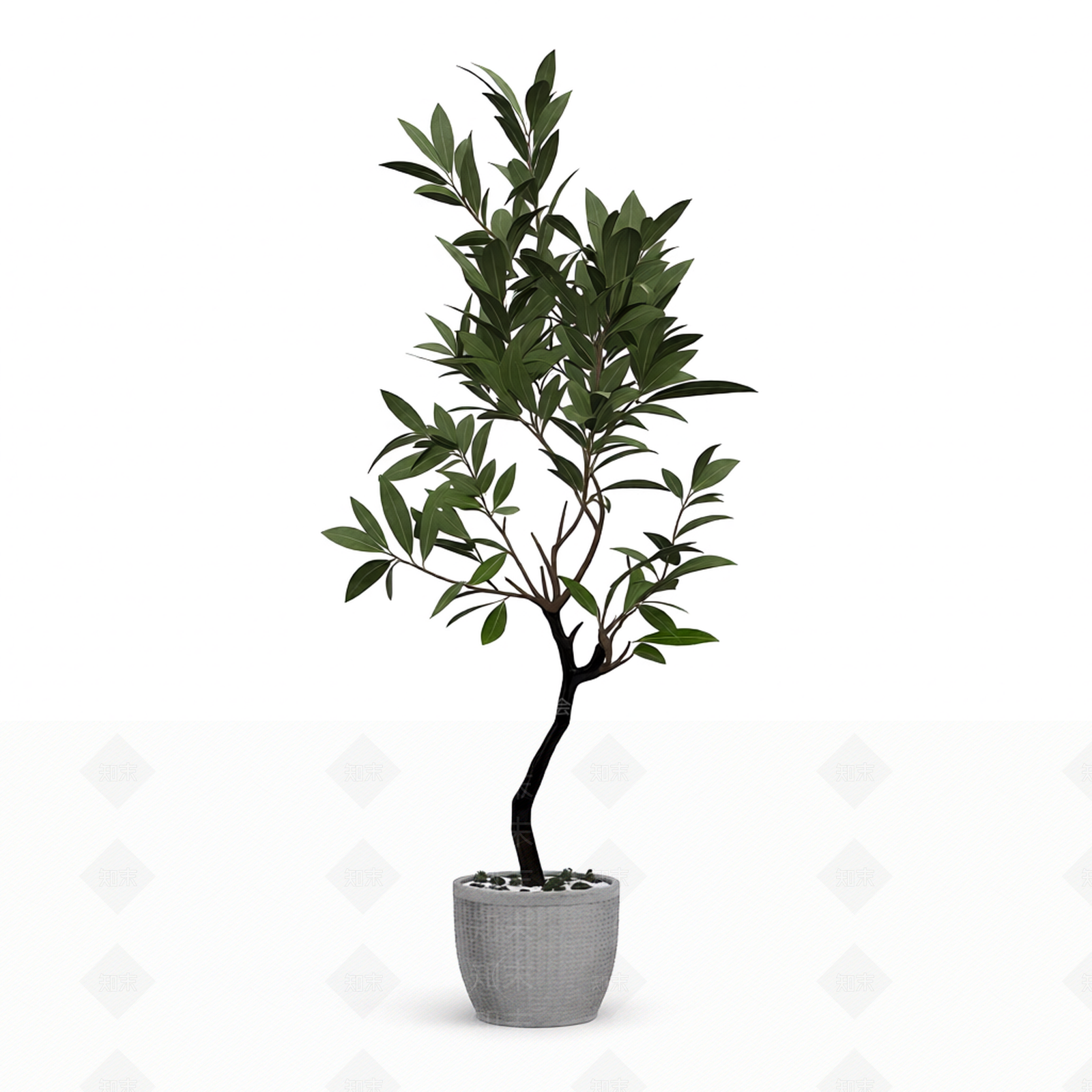 带盆绿植盆栽3D模型下载【ID:1206192479】