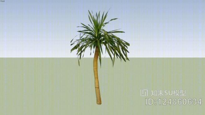 龙血树SU模型下载【ID:124860634】