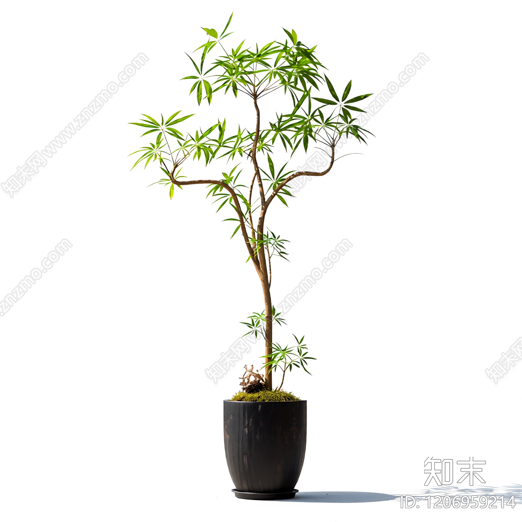 盆栽植物装饰3D模型下载【ID:1206959214】