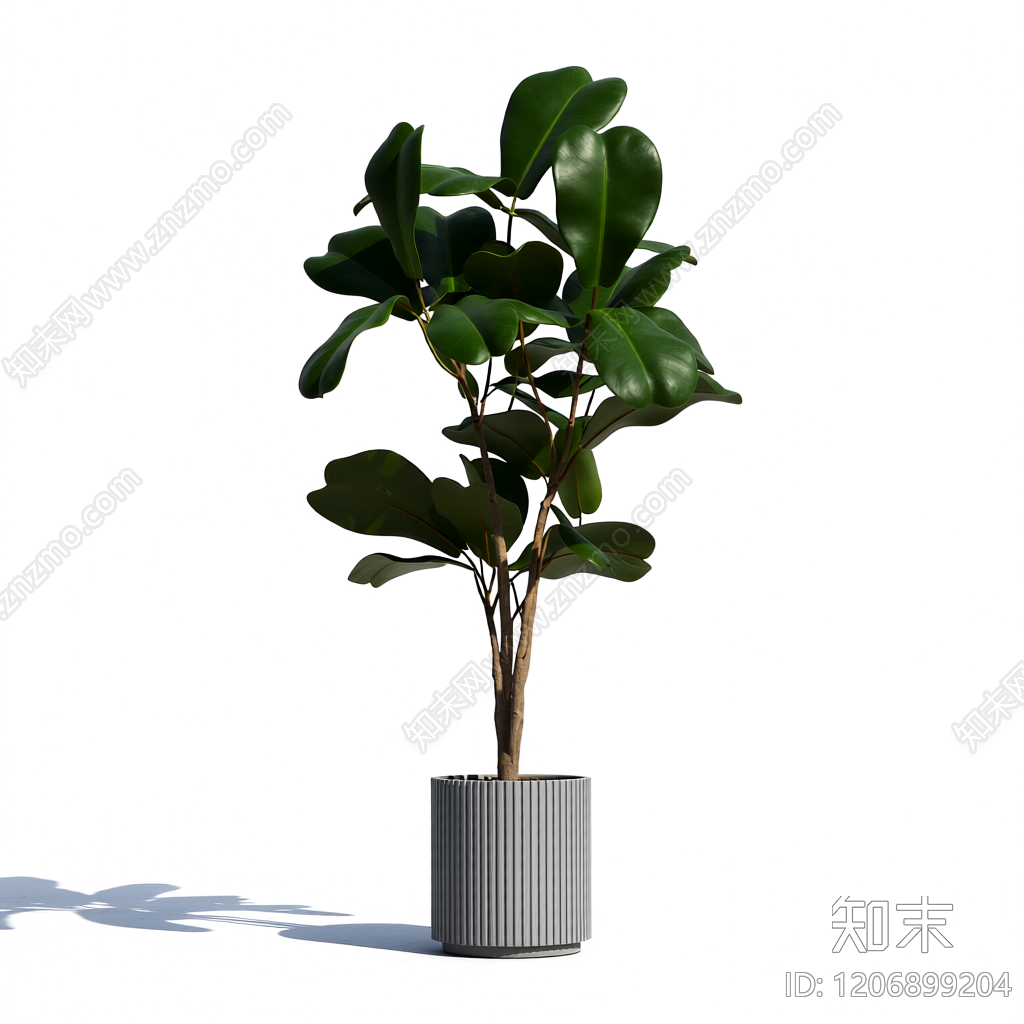 盆栽植物带花盆3D模型下载【ID:1206899204】